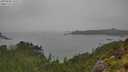 ./images/calvert/foggy-cove/20250809/foggy-cove20250809_145509M.jpg