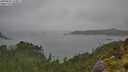 ./images/calvert/foggy-cove/20250809/foggy-cove20250809_150011M.jpg