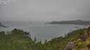 ./images/calvert/foggy-cove/20250809/foggy-cove20250809_151011M.jpg