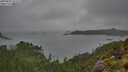 ./images/calvert/foggy-cove/20250809/foggy-cove20250809_151510M.jpg