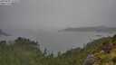 ./images/calvert/foggy-cove/20250809/foggy-cove20250809_153510M.jpg