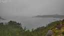 ./images/calvert/foggy-cove/20250809/foggy-cove20250809_155011M.jpg