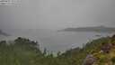 ./images/calvert/foggy-cove/20250809/foggy-cove20250809_155510M.jpg
