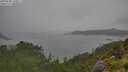 ./images/calvert/foggy-cove/20250809/foggy-cove20250809_160011M.jpg