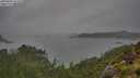 ./images/calvert/foggy-cove/20250809/foggy-cove20250809_163510M.jpg