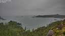 ./images/calvert/foggy-cove/20250809/foggy-cove20250809_164009M.jpg