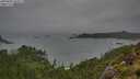 ./images/calvert/foggy-cove/20250809/foggy-cove20250809_165507M.jpg