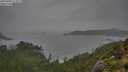 ./images/calvert/foggy-cove/20250809/foggy-cove20250809_172509M.jpg