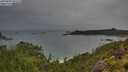 ./images/calvert/foggy-cove/20250809/foggy-cove20250809_181010M.jpg