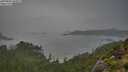 ./images/calvert/foggy-cove/20250809/foggy-cove20250809_185009M.jpg