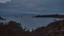 ./images/calvert/foggy-cove/20250809/foggy-cove20250809_214010M.jpg