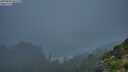 ./images/calvert/foggy-cove/20250810/foggy-cove20250810_061510M.jpg