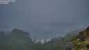 ./images/calvert/foggy-cove/20250810/foggy-cove20250810_063011M.jpg