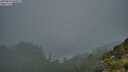 ./images/calvert/foggy-cove/20250810/foggy-cove20250810_065011M.jpg