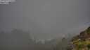 ./images/calvert/foggy-cove/20250810/foggy-cove20250810_065509M.jpg
