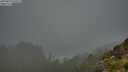 ./images/calvert/foggy-cove/20250810/foggy-cove20250810_070509M.jpg