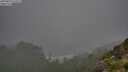 ./images/calvert/foggy-cove/20250810/foggy-cove20250810_071011M.jpg