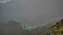 ./images/calvert/foggy-cove/20250810/foggy-cove20250810_071510M.jpg