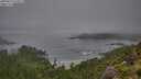 ./images/calvert/foggy-cove/20250810/foggy-cove20250810_075009M.jpg