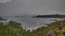 ./images/calvert/foggy-cove/20250810/foggy-cove20250810_091009M.jpg