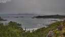 ./images/calvert/foggy-cove/20250810/foggy-cove20250810_091510M.jpg