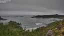 ./images/calvert/foggy-cove/20250810/foggy-cove20250810_094010M.jpg