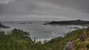 ./images/calvert/foggy-cove/20250810/foggy-cove20250810_094510M.jpg