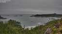 ./images/calvert/foggy-cove/20250810/foggy-cove20250810_095010M.jpg
