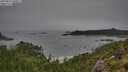 ./images/calvert/foggy-cove/20250810/foggy-cove20250810_100011M.jpg
