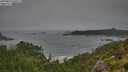 ./images/calvert/foggy-cove/20250810/foggy-cove20250810_100509M.jpg