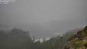 ./images/calvert/foggy-cove/20250810/foggy-cove20250810_105011M.jpg