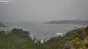 ./images/calvert/foggy-cove/20250810/foggy-cove20250810_112008M.jpg