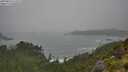 ./images/calvert/foggy-cove/20250810/foggy-cove20250810_112509M.jpg