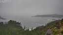 ./images/calvert/foggy-cove/20250810/foggy-cove20250810_113510M.jpg