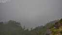 ./images/calvert/foggy-cove/20250810/foggy-cove20250810_125010M.jpg