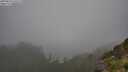 ./images/calvert/foggy-cove/20250810/foggy-cove20250810_131511M.jpg