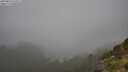 ./images/calvert/foggy-cove/20250810/foggy-cove20250810_132011M.jpg