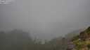 ./images/calvert/foggy-cove/20250810/foggy-cove20250810_132510M.jpg
