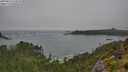 ./images/calvert/foggy-cove/20250810/foggy-cove20250810_134510M.jpg