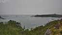 ./images/calvert/foggy-cove/20250810/foggy-cove20250810_135510M.jpg
