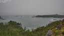 ./images/calvert/foggy-cove/20250810/foggy-cove20250810_141011M.jpg