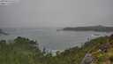 ./images/calvert/foggy-cove/20250810/foggy-cove20250810_141511M.jpg