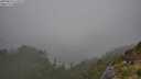./images/calvert/foggy-cove/20250810/foggy-cove20250810_145012M.jpg