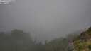 ./images/calvert/foggy-cove/20250810/foggy-cove20250810_145508M.jpg