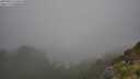 ./images/calvert/foggy-cove/20250810/foggy-cove20250810_150010M.jpg
