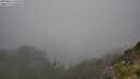 ./images/calvert/foggy-cove/20250810/foggy-cove20250810_150510M.jpg