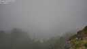 ./images/calvert/foggy-cove/20250810/foggy-cove20250810_151011M.jpg
