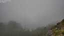 ./images/calvert/foggy-cove/20250810/foggy-cove20250810_151511M.jpg