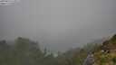 ./images/calvert/foggy-cove/20250810/foggy-cove20250810_152011M.jpg