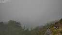 ./images/calvert/foggy-cove/20250810/foggy-cove20250810_152510M.jpg